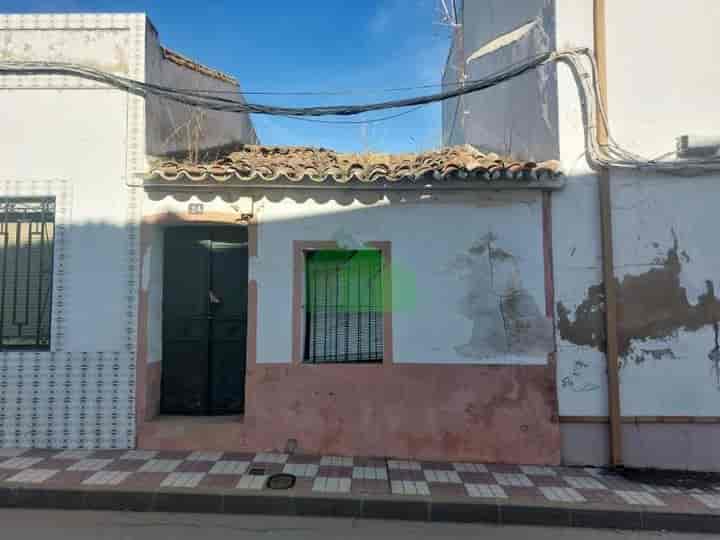 Spacious Fixer-Upper in Lobón with Stunning Guadiana Views