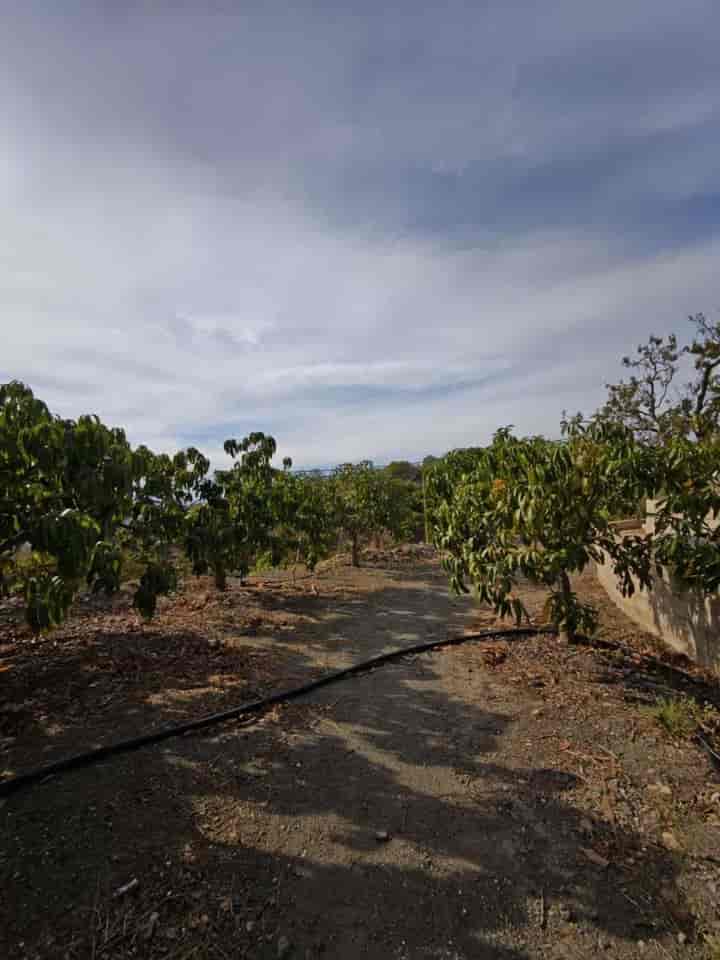 Stunning Rustic Cortijo Near Vélez Málaga