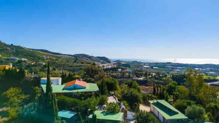 Superbe ferme d'avocats et de mangues avec vue sur la Méditerranée à Axarquía, Málaga