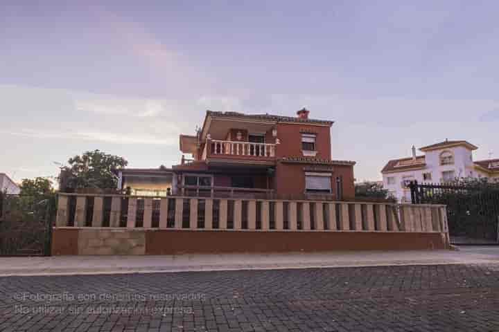 Renovation Dream Villa in San Pedro de Alcantara, Costa del Sol