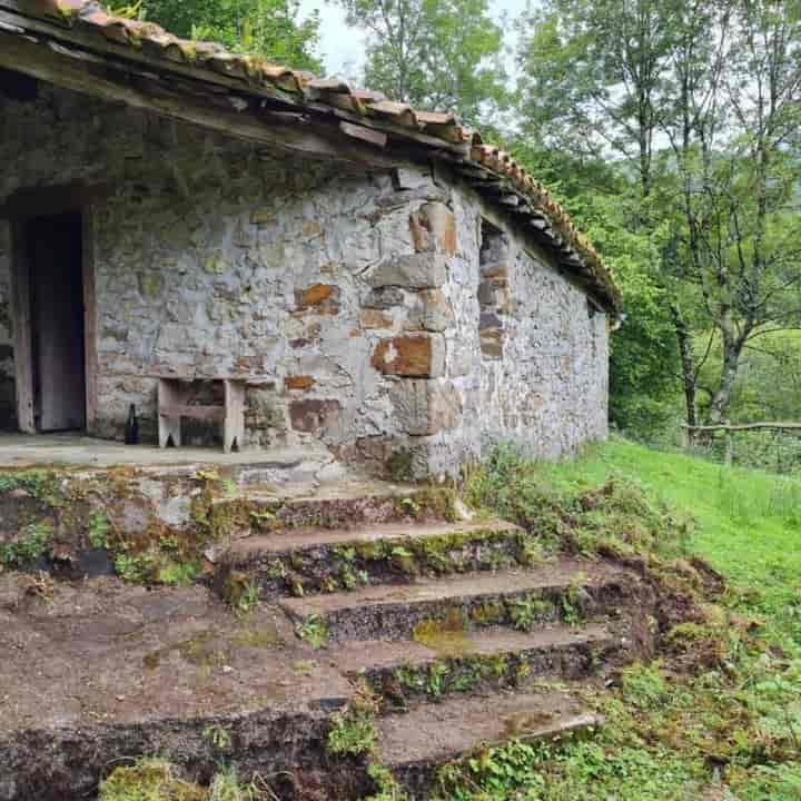 Charming Cabin Retreat in Piloña with 19,000 m² of Nature