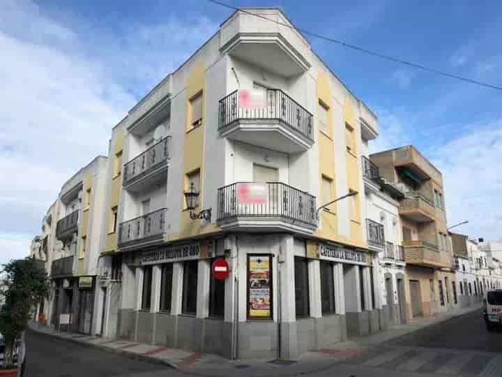 Charming Apartment for Sale in Castuera, Badajoz