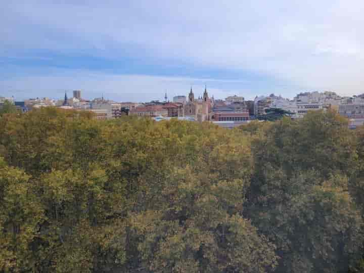 Charming Apartment Near Museo del Prado, Madrid