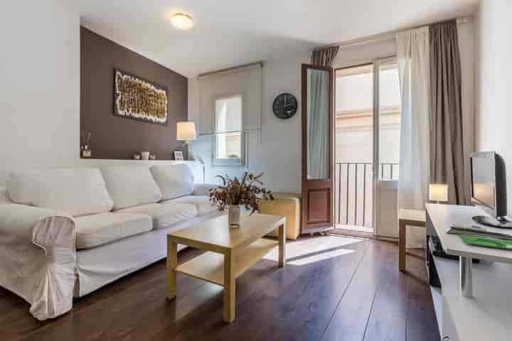 Cozy Seasonal Rental in the Heart of Raval, Barcelona