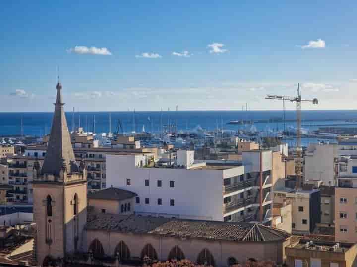 Spacious Apartment in Santa Catalina, Palma