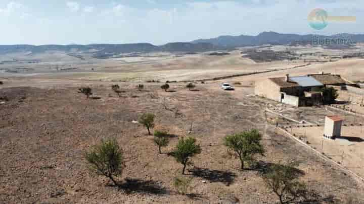 Charming Country House in Raiguero Bajo, Totana