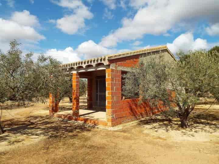 Charming Fixer-Upper in Caudete - Your Rural Oasis!