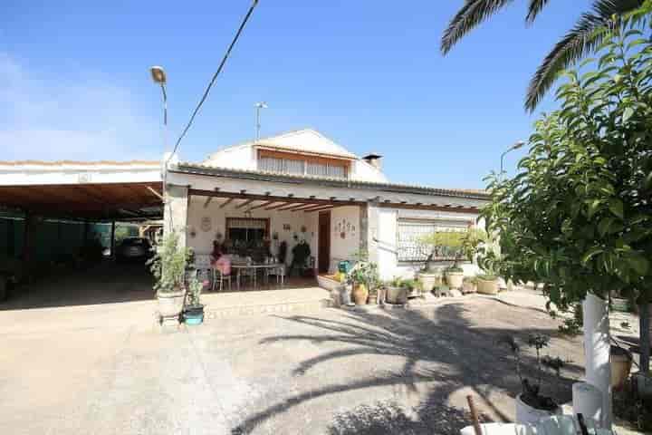 Spacious Detached Villa in Caudete – Just a Short Walk to Town