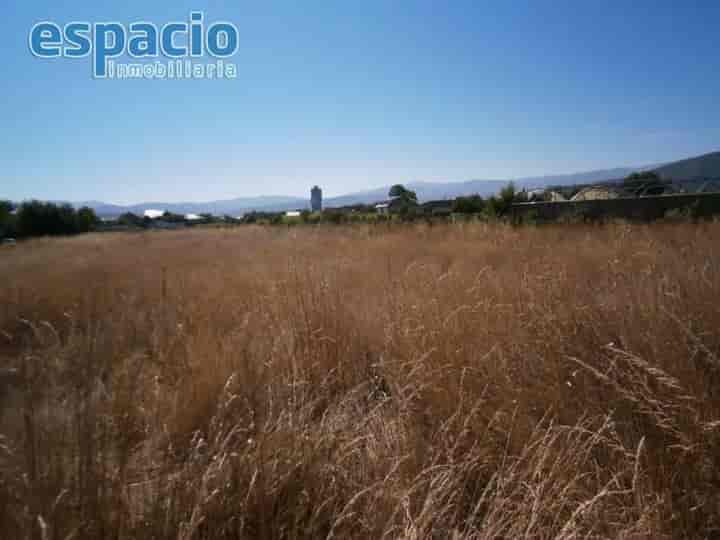 Rustic Finca for Sale in Ponferrada - Only €25,000!