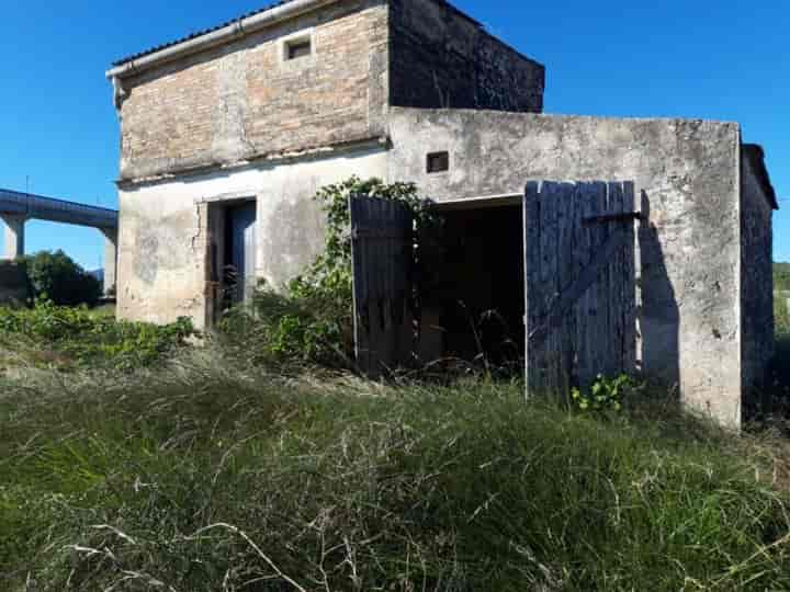 Rural Retreat with Agricultural Potential near Amposta