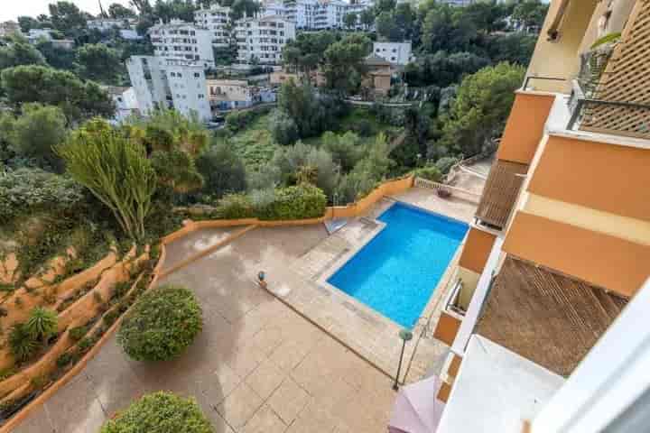 Charming 2-Bedroom Apartment Near Bellver Forest, Palma