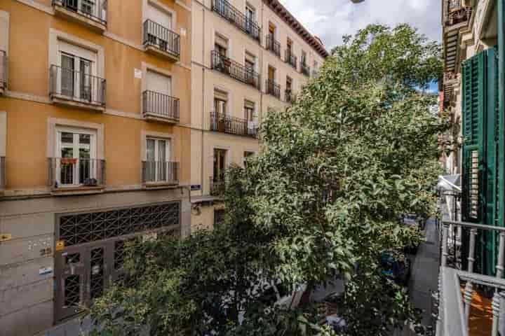 Stunning Urban Apartment in Madrid's Historic Center