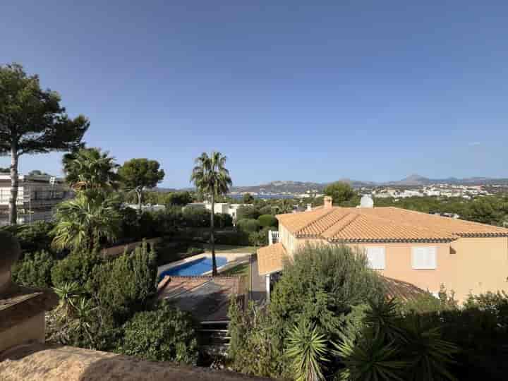 Stunning Renovation Opportunity in Exclusive Nova Santa Ponsa