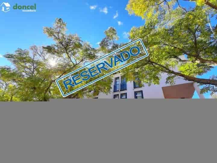 Spacious 3-Bedroom Apartment Near Feria in Ciudad Real