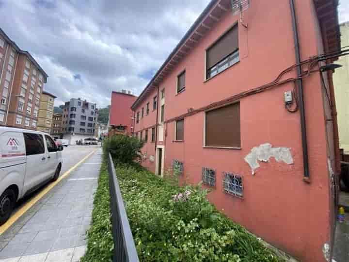 Spacious 3-Bedroom Apartment for Sale in Mieres, Asturias