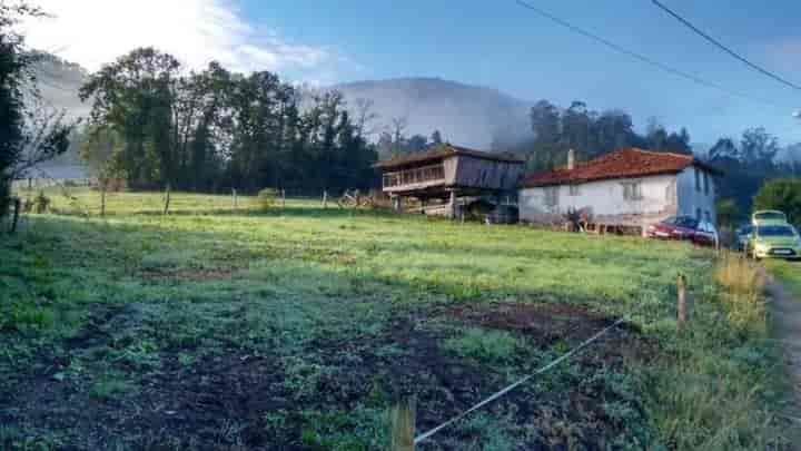 Charming Fixer-Upper in [Location] – 2-Story Gem with Barn!