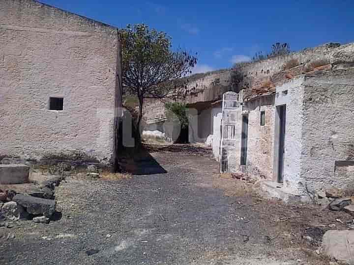 Sprawling 400,000m² Farm in Chimiche, Granadilla de Abona