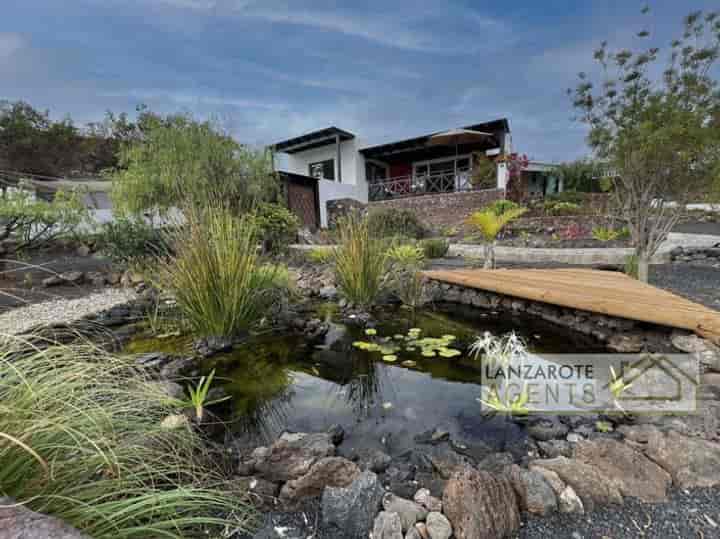 Charming Family Home in Sunnyvale, CA