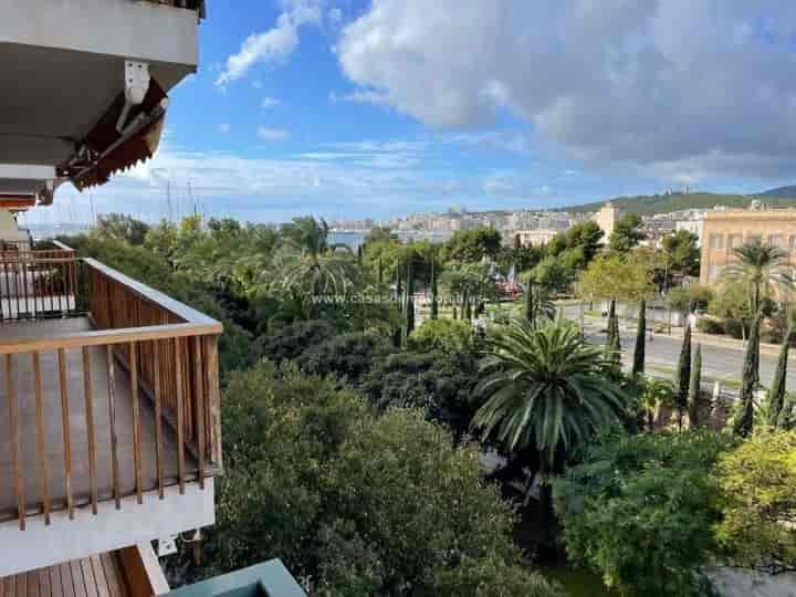 Stunning 300m² Apartment with Sea Views in Central Palma