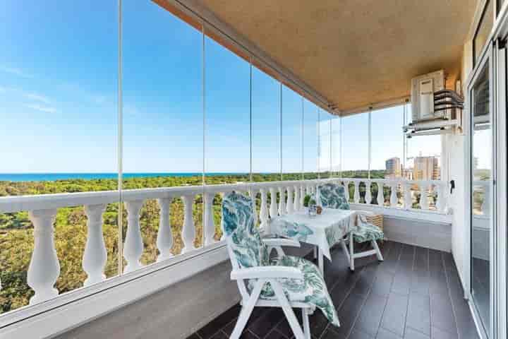 Stunning Beachfront Flat in Guardamar del Segura