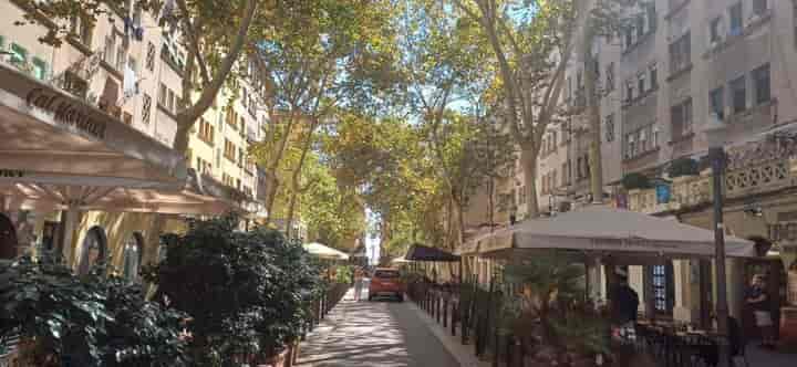 Charming First-Floor Apartment with Terrace in La Barceloneta, Barcelona