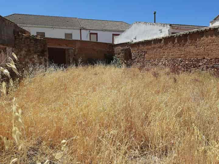 Charming Fixer-Upper in Alcolea de Ctv./C. Real - 467 sqm