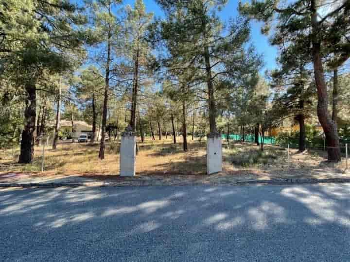 Amazing 2,500 m² Plot in Pinar Jardín, Marugán (Segovia)