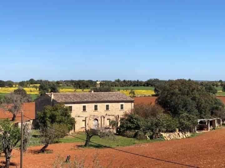 Charming Semi-Renovated Rustic Finca in Mallorca, 20 km from Palma