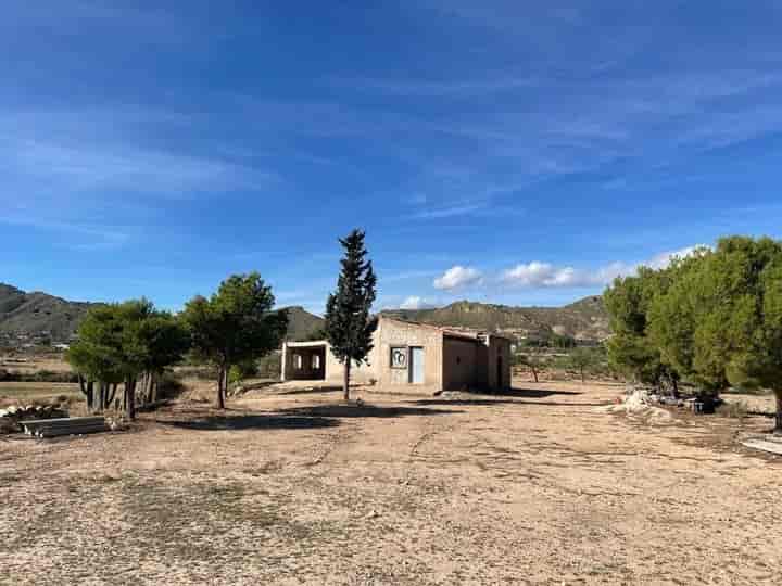 Charming Country House in Elda, Alicante