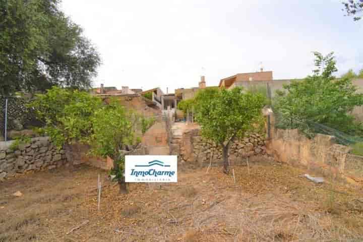 Charming Village House with Spacious Garden in María de la Salud