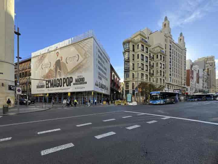 Spacious Apartment in the Heart of Madrid - San Bernardo & Gran Vía