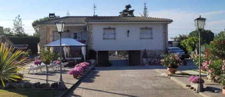 Spacious Urban Farmhouse Near Capital - 4,200m² Lot