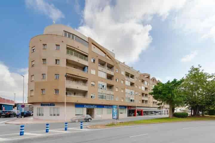 Ground Floor Apartment in Torrevieja with Pool Access