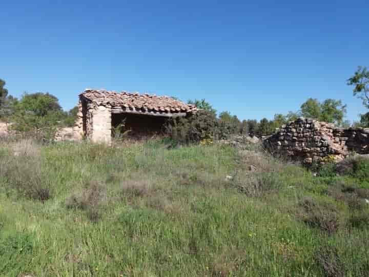 Rustikale Finca mit Bauprojekt in Valdeltormo