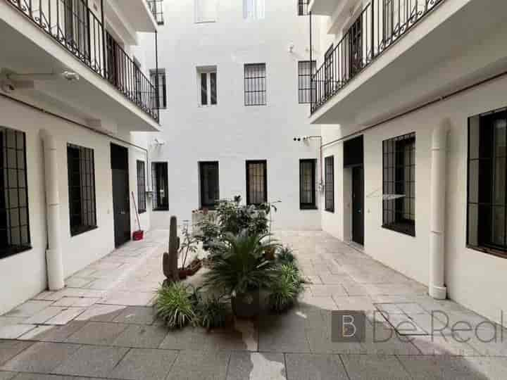 Charming Renovation Opportunity in Malasaña, Madrid