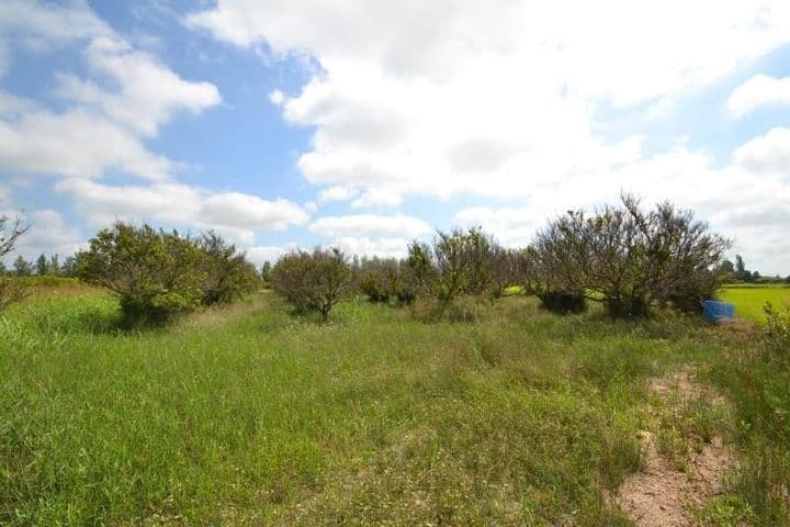 Expansive Agricultural Paradise in Tranquil Countryside