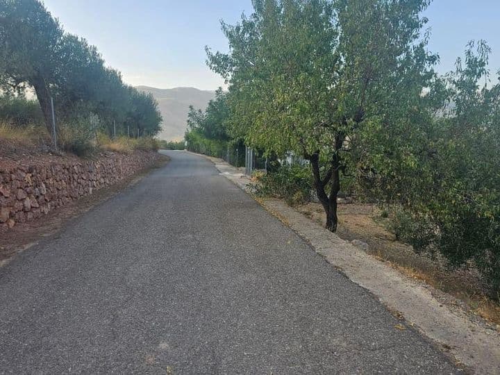 Charming Agricultural Land with Olive Trees in Fondón