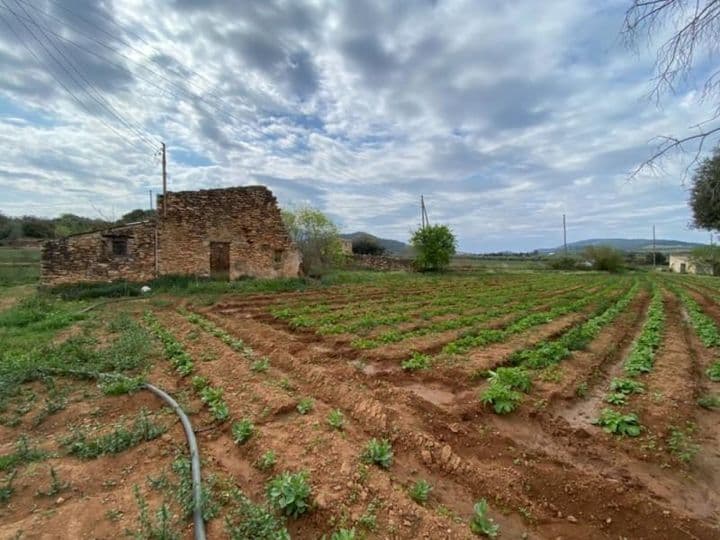 Idyllic 12,802 m² Finca in Les Basses de la Foia