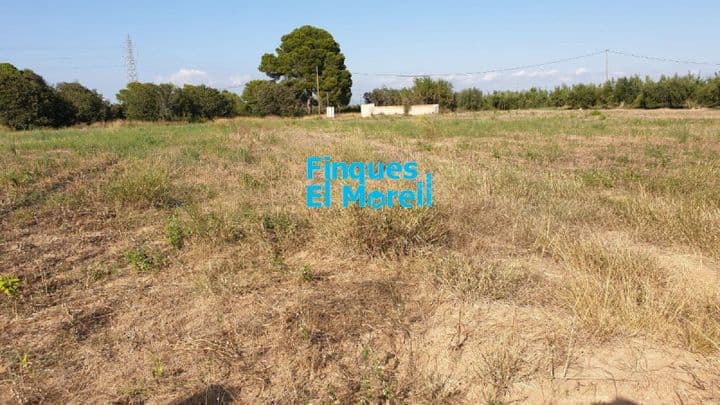 Rustic Finca in Spain - 8556 m² with Water Well & Power