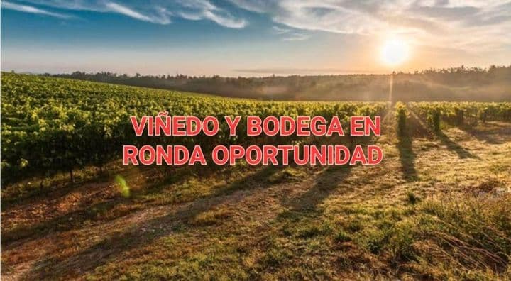 Уникальный виноградник и винодельня на продажу возле Ронды - 790 000 евро