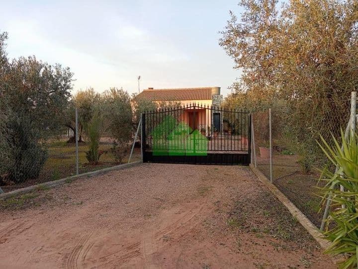 Charming Home with Olive Grove in Secano, C-926