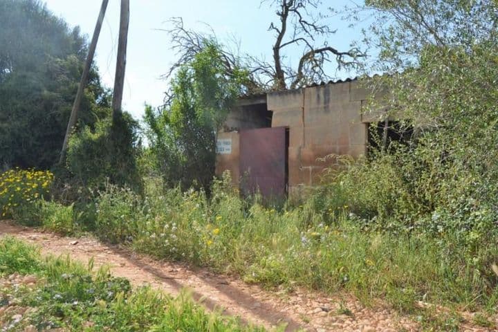 Rustic Finca for Sale in Son Figuerola, Muro with Stunning Views