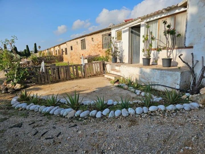 Spacious 12,000 m² Finca in 01903 with Olive Grove