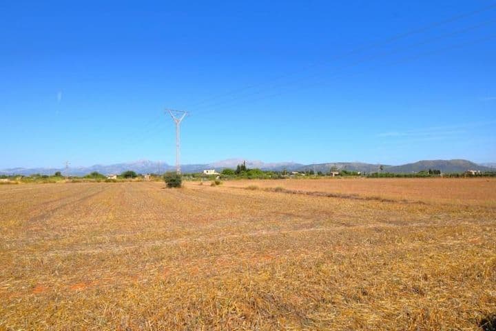 Dream Building Plots in Muro, Mallorca - Total 15,324 m2 - Stunning Serra de Tramuntana Views!