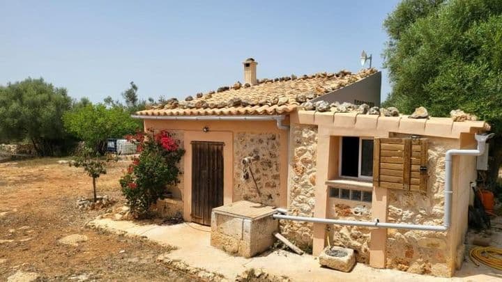 Charming Rustic Finca in Santa Margalida, Mallorca - 7,880 m2 Paradise