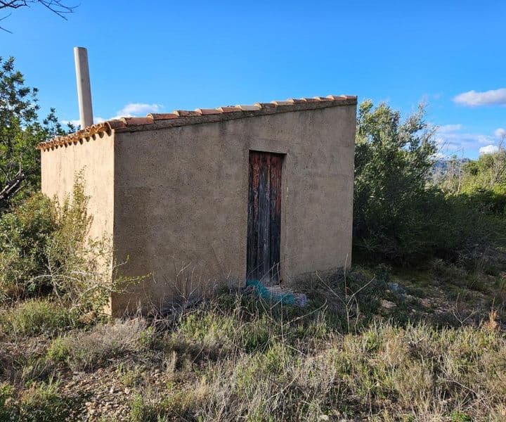 Charming Olive Grove Retreat in Serramoca, Costa Dorada