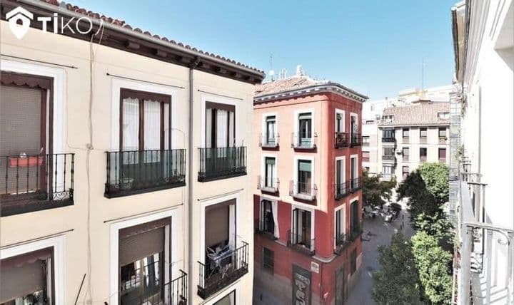 Charming Apartment in the Heart of Madrid's Historic Center