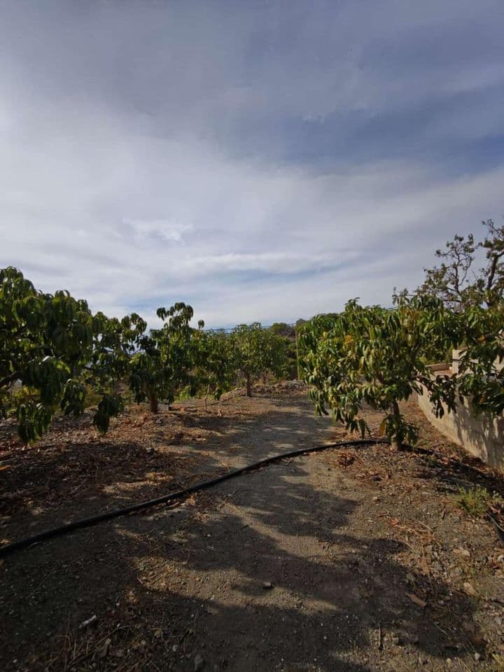 Stunning Rustic Cortijo Near Vélez Málaga