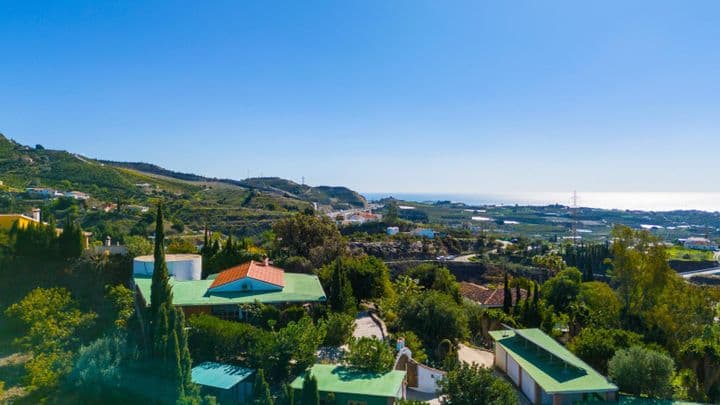 Stunning Avocado and Mango Farm with Mediterranean Views in Axarquía, Málaga