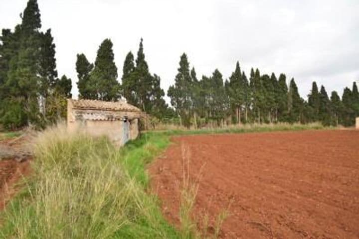 Charming Finca Near Playa de Muro, Mallorca - 5,684 m² with Tool Shed